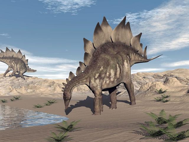 stegosaurus